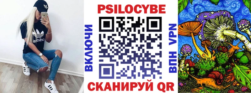 закладки  кракен сайт  Псилоцибиновые грибы MAGIC MUSHROOMS  Щучье 